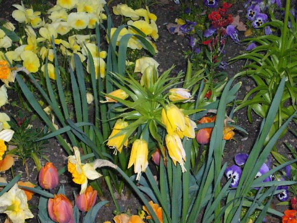 image44