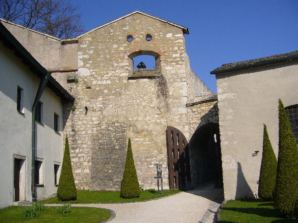 image50