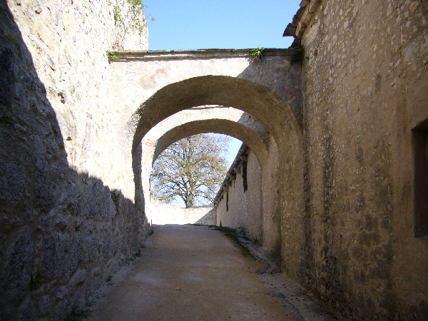 image53