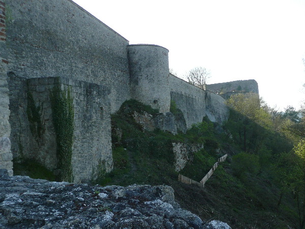image7