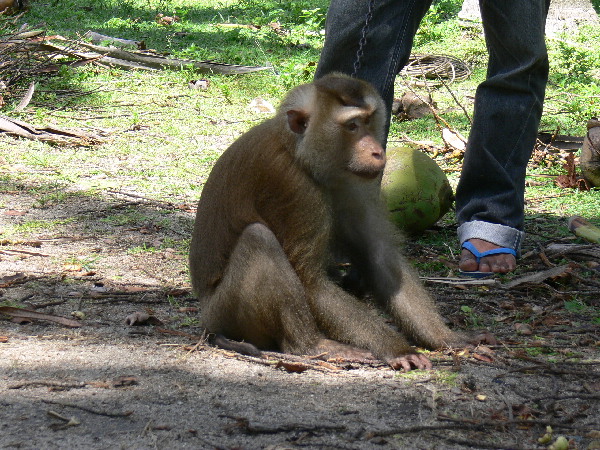 image115