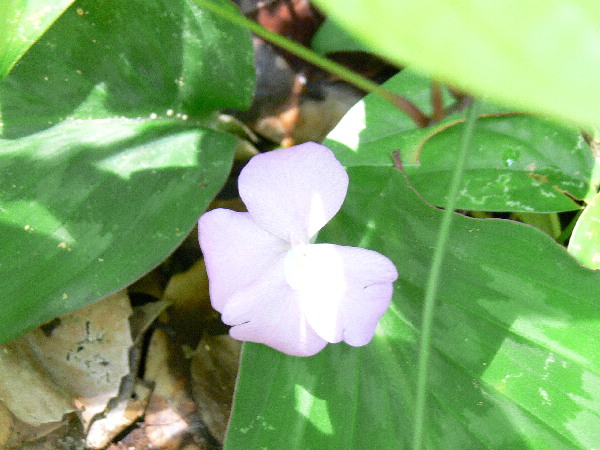 image122