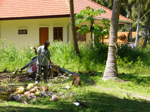 image33