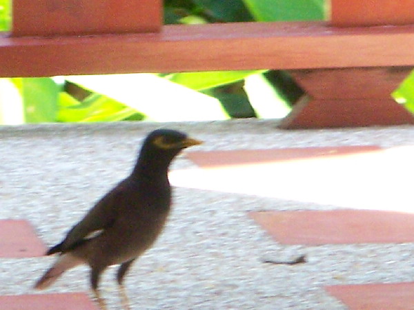 image74