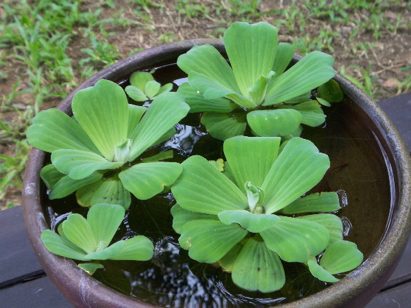 image90