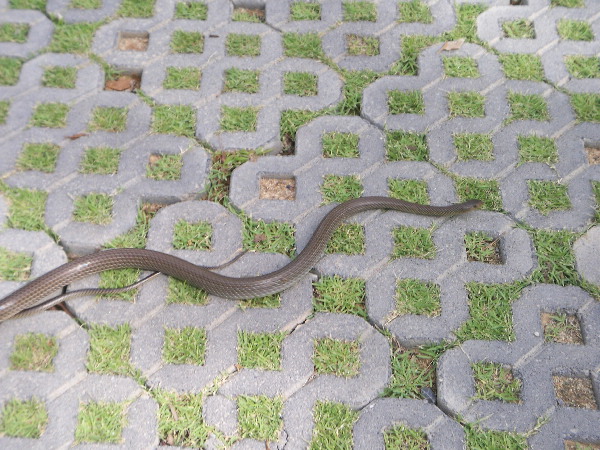 image91