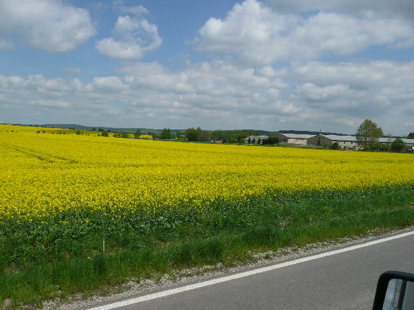 image94