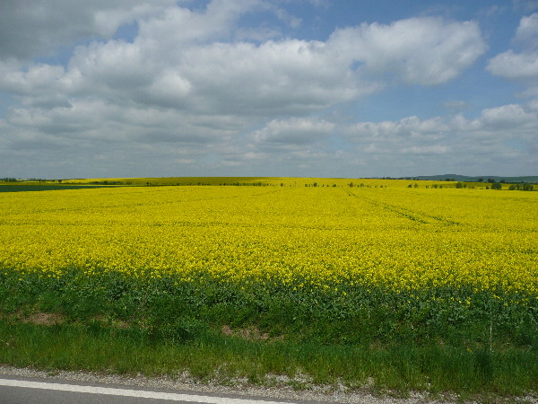 image95