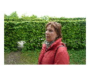 thumbnail17