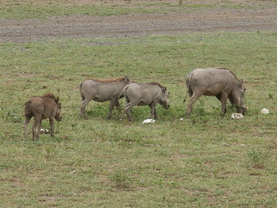 image102