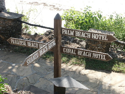 image11