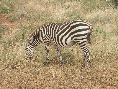 image32