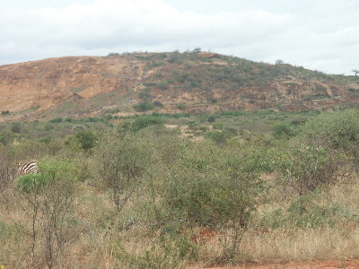 image33