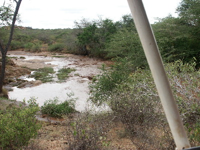 image35