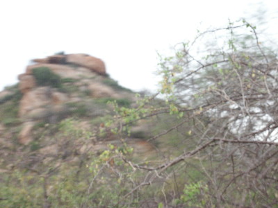 image36