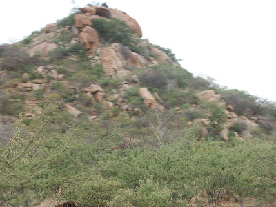 image37