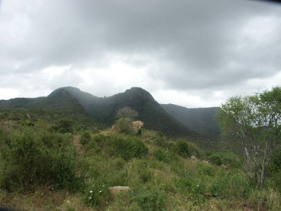 image47