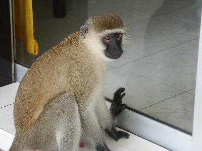 image5