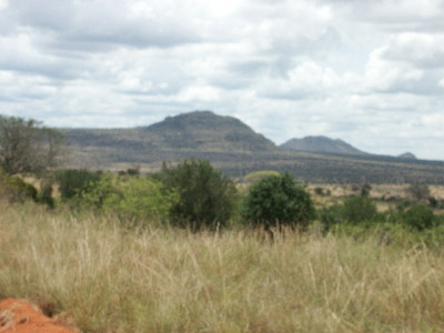 image53