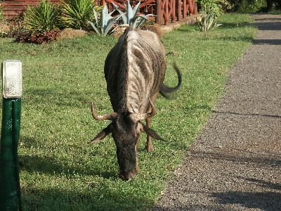 image62