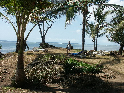 image8
