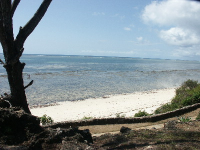 image9