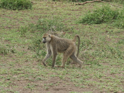 image90