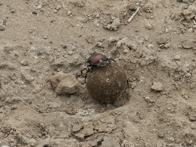 image97