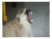 thumbnail6