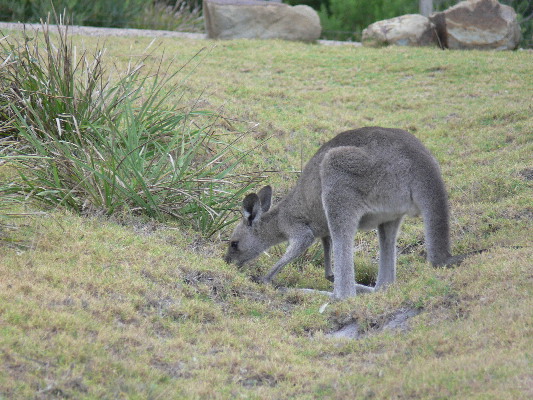 image133