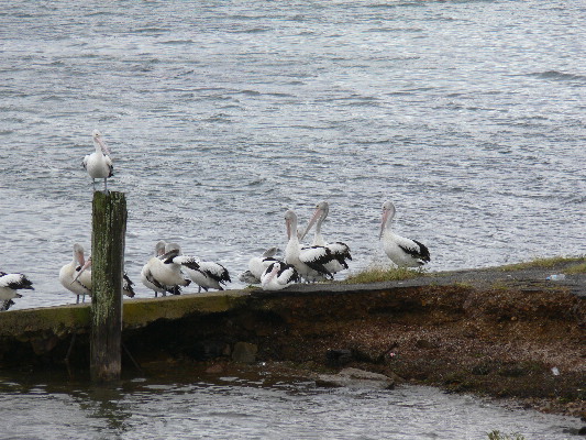 image150