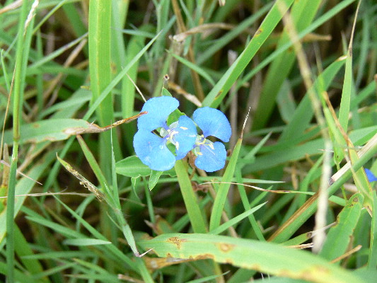 image188
