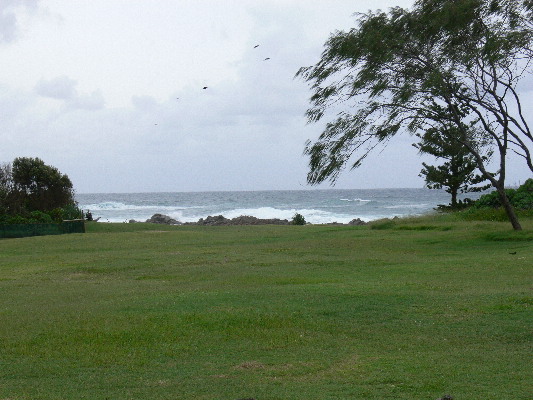 image199