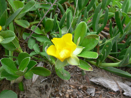 image203