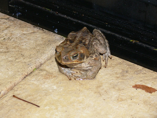 image209