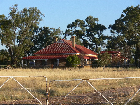 image41