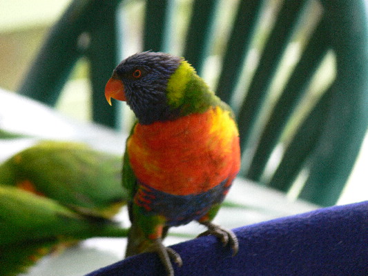 image6