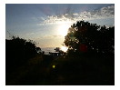 thumbnail136