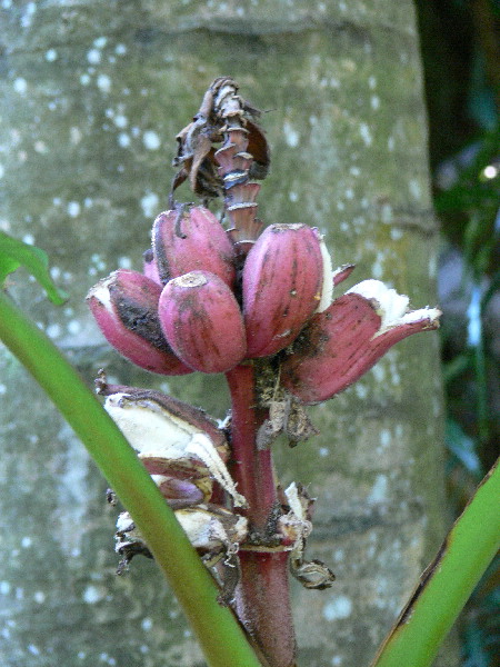 image101