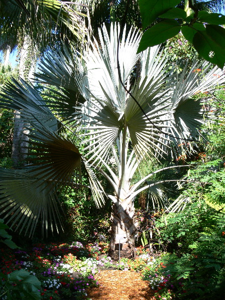 image102