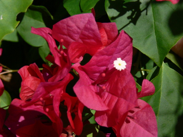 image104
