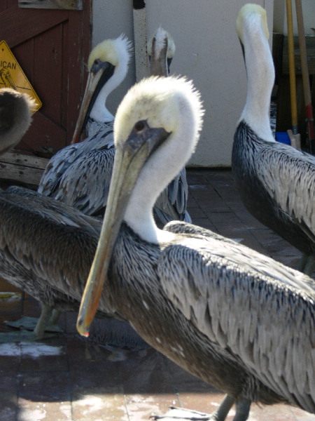 image108