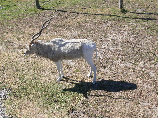 image125