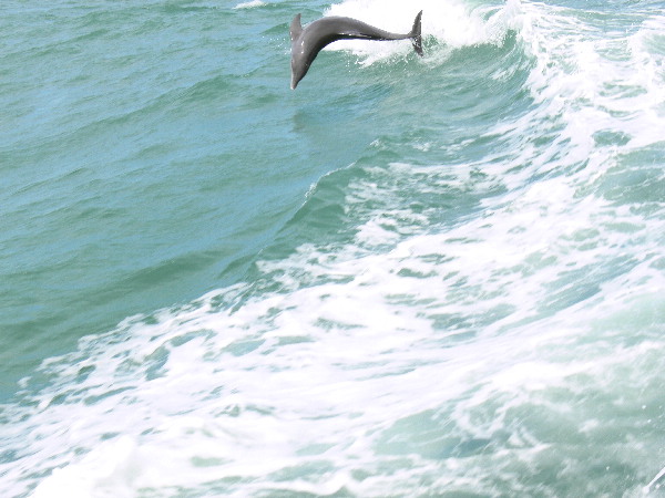 image23
