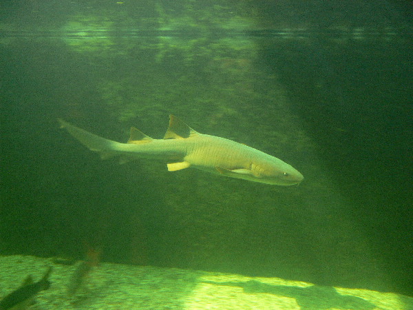 image32