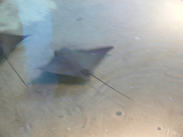 image34