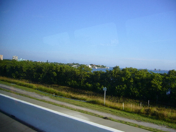 image46