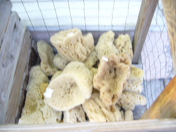 image54