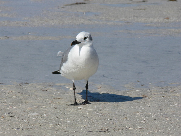 image85