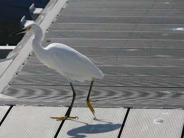 image90